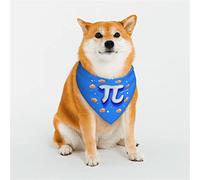 Divertido Día Pi Espiral Pi Matemáticas 3.14 Disfraces de Perro Ajustables Bandana Ajuste Triángulo Reversible Doble Diseño Bufanda para Mascotas Mediana