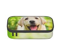 Divertido estuche grande para lápices con cremallera, diseño de cachorro labrador, bolsa de almacenamiento de papelería con bonito estampado para niños y niñas, suministros escolares de oficina