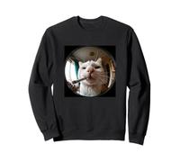 Divertido Fumador Gato Puerta Mirador De Ojo De Pez Lente Gatito Meme Sudadera