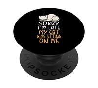 Divertido gato lo siento mi gato estaba sentado en mí PopSockets PopGrip Intercambiable