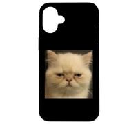 Divertido Gato Persa Cansado Gato Cara Meme Foto Carcasa para iPhone 16 Plus