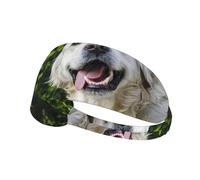 Divertido Golden Retriever Impreso,Banda Deportiva para el Sudor Unisex, Multiusos, elástica para el Pelo