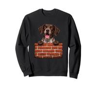 Divertido GSP Perro Pared De Ladrillo Alemán De Pelo Corto Pointer Amantes Sudadera