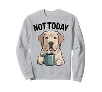 Divertido Labrador Retriever Colega Labrador Sudadera
