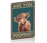 Divertido letrero de baño con texto en inglés "Are You Pooping?", decoración de pared de metal de 8 x 12 pulgadas, estilo vintage, rústico, para baño, oficina, bar (verde)
