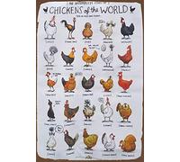 Divertido letrero de gallinero esponjoso, gallinero del mundo, pancarta de pared moderna de granja, decoración de campo, accesorios de pollo para gallineros, decoración de gallinero, cartel de metal