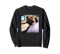 Divertido Lindo Perro Pug Oficina Trabajo Borroso Meme Foto Sudadera