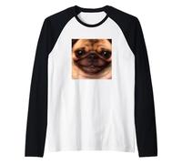 Divertido Lindo Torpe Perro Pug Sonrisa Borroso Meme Camiseta Manga Raglan
