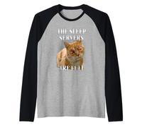 Divertido Los Servidores De Dormir Son Gatos Llenos Meme Humor Camiseta Manga Raglan