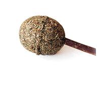 Divertido palo de masticar para gatos, bola de hierba gatera, piruleta, gatito, limpieza de dientes de mascotas, juguetes para gatos VeryNice procesado