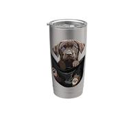 Divertido perro de laboratorio de chocolate en bolsillo marrón labrador retriever Vaso térmico de acero inoxidable de doble pared