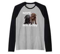 Divertido Perro de Laboratorio de Chocolate Labrador Cachorro Retriever Amante Camiseta Manga Raglan