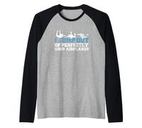 Divertido Regalo de Paracaidista con Texto en inglés I Jump out of Perfectly Good Airplanes Camiseta Manga Raglan