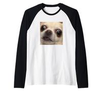 Divertido Sorprendido Chihuahua Cara Borrosa Foto Perro Meme Camiseta Manga Raglan