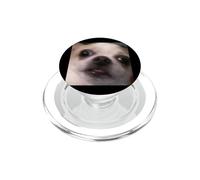 Divertido Sorprendido Chihuahua Cara Borrosa Foto Perro Meme PopSockets PopGrip para MagSafe