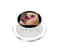 Divertido Sorprendido Chihuahua Feo Maquillaje Borroso Meme PopSockets PopGrip para MagSafe