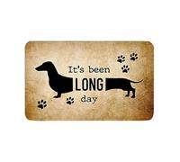 Divertido tapete para puerta de perro, con texto en inglés "It's Been A Long Day", para interiores y exteriores, lindo felpudo de fibra de coco para amantes de los perros, porche, entrada, cocina, 30