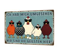 Divertidos carteles de metal 20 x 30 cm - "Somos los pollos más geniales", decoración de pared, divertidos carteles de metal cooperativos, vintage, decoración para cocina, granja, casa de campo