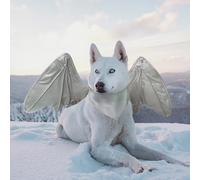Divertidos disfraces de ala de murciélago para perro, linda ropa peluda para mascotas para Halloween (ala de dragón plateada, talla L)
