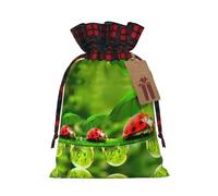 Divertidos paraguas con diseño de mariquita, 1 bolsa con cordón, 4.7 x 6.9 pulgadas, para regalos, viajes y uso diario con etiquetas de regalo de papel kraft