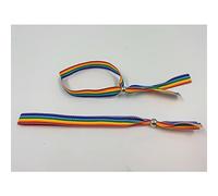 Diverty Sex 165004 Pulsera con Bolita Plateada, Bandera Lgtb