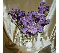 Dives - Wanna Take You There - Ltd Col. ed. [Vinilo]