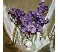 Dives - Wanna Take You There [Vinilo]