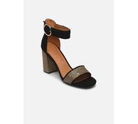 Divine Factory QL4323 40 Negro