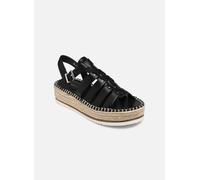 Divine Factory QL4844_NOIR 41 Negro