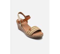 Divine Factory TDF5238 40 Beige