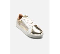 Divine Factory TDF5242 40 Oro y bronce
