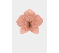 Divine Feminine/Fat Cat Energy Journal