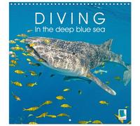 Diving in the deep blue sea (Wall Calendar 2027 12 × 12 Inch) CALVENDO 12 Month