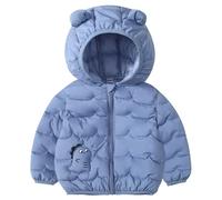 DivingBirds Abrigo de Invierno con Capucha para Niños Pequeños, Chaquetas Acolchadas con Cremallera para Niños y Niñas, para 3-4 Años