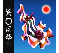 Divino Niño - Foam [Casete]