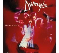 Divinyls - What A Life