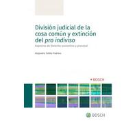 División judicial de la cosa común y extinción del pro indiviso: Aspectos de Derecho sustantivo y procesal