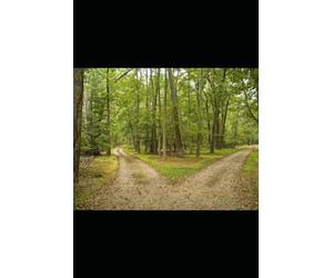 Divorce: Finding Faith, Support and Hope After the End of a Marriage (Dark Valleys)