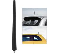 Dixhills Mástil de Antena de Coche Compatible con 500/595/695 312 500C/595C/695C 312 Reemplazo de Antena de Radio Am FM Estéreo para Coche para 51890258 51910790 52019353