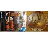 Dixie Chicks - Landslide