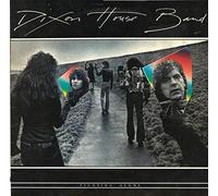 DIXON HOUSE BAND - Fighting Alone LP (Vinyl Album) US Infinity 1979