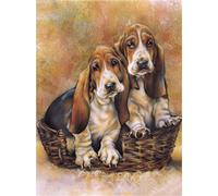 DIY 5D Diamond Painting by Number Kits Basset hound Taladro Completo Diamante Pintura de Cristal Bordado de Punto de Cruz Arte Manualidades,para Hogar Decoración del Pared Square Drill 30x40cm/12x16in