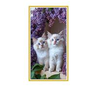 DIY 5D Pintura Diamante Flores gatos Grande Diamond Painting Kits para Adultos Niños, Diamond Art Kit Complet Manualidades Imágenes Cristal Punto Cruz Decor Pared para Hogar Gifts 100x200cm s-319
