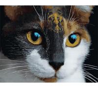 DIY Animal Kit De Alfombra Con Gancho De Pestillo Retrato De Gato Kit De Costura De Crochet,Kits Clásico De Alfombras Con Aguja De Pestillo Para Adultos,Set De Manualidades 3D Para D 33x45in
