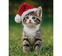 DIY Animal Kit De Gancho De Pestillo El Gato En El Sombrero Kit De Costura De Crochet,Kits Clásico De Alfombras Con Aguja De Pestillo Para Adultos,Set De Manualidades 3D Para Decorac 23x35in