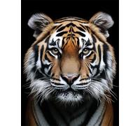 Diy Cuentas Para Bordar Retrato De Animal Tigre Kit De Bordado De Cuentas,Manualidades,Patrón De Abalorios,Kits De Costura,Decoración Del Hogar 60x80cm