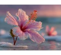 DIY Diamond Painting Kit para Adultos, Flores De Playa 5D Diamont Art, Pintura Bordado Mosaico Cristal, Adecuado para Niño Principiantes, Decoración Pared Regalo 70x90cm YN7N-215