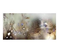 DIY Diamond Painting Kits for Adults, 5D Diente de León Diamond Art Kits for Beginners, Redondo Full Drill House pintura diamante Art, DIY Painting by Numbers para Decoración Hogar 30x60cm Z7539