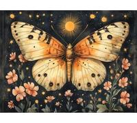 DIY Kit de Cuadrado Pintura de Diamantes, Luna Mariposa, 5D Mosaico Bordado Arte de Diamantes, Adecuado para Adultos y Niños, Decoración de Paredes de Dormitorio, Regalos Femeninos 30x40cm YY7N-293