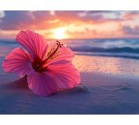 DIY Kit de Pintura de Diamantes, Atardecer En La Playa, 5D Mosaico Bordado Arte de Diamantes, Adecuado Adultos y Niños, Decoración Paredes Dormitorio, Regalos Femeninos 30x40cm YY7N-646